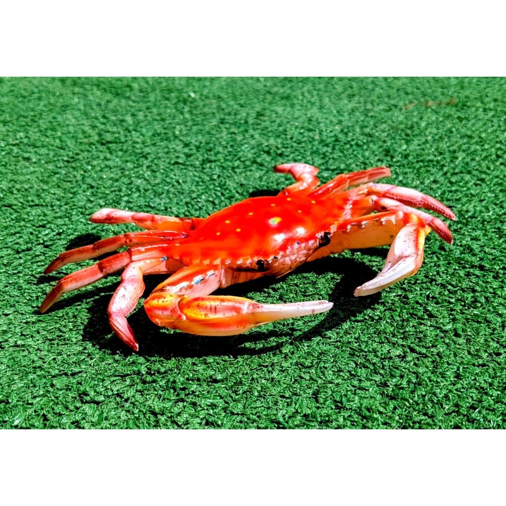 Red Crab Maryland Hand Painted 6" Replica Wall Sculpture Beach Decor EUC